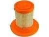 Air Filter:F67Z-9601-AA