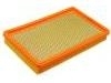 Luftfilter Air Filter:25097453