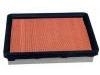 Air Filter:N326-13-Z40