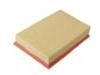 Air Filter:LR005816