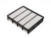 Air Filter:17801-07020