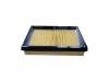 Air Filter:BJ01-13-Z40