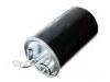 бензиновый фильтр Fuel Filter:05166780AA