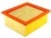 Luftfilter Air Filter:53034249AA