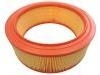 воздушный фильтр Air Filter:77 01 069 211