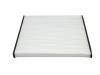 Cabin Air Filter:8104300-V08