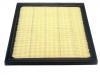 Air Filter:16546-AA150