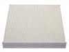 Cabin Air Filter:500042992