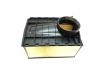 Air Filter:95B 129 620 B